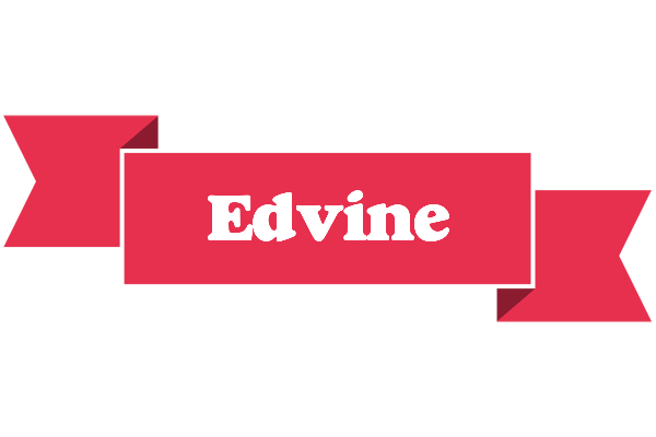 Edvine sale logo