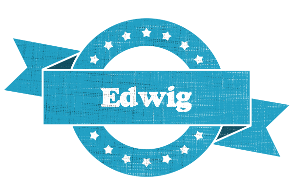 Edwig balance logo