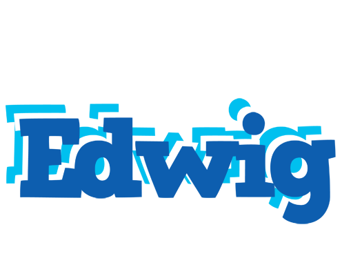 Edwig business logo