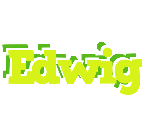 Edwig citrus logo