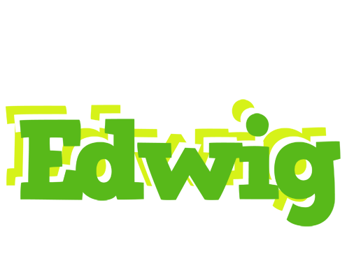 Edwig picnic logo