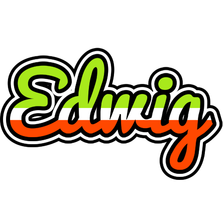 Edwig superfun logo