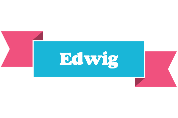 Edwig today logo