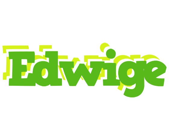 Edwige picnic logo