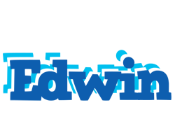 Edwin business logo