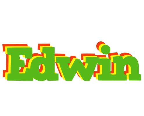 Edwin crocodile logo