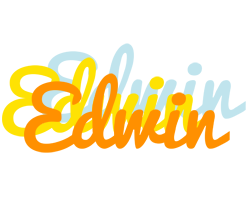 Edwin energy logo