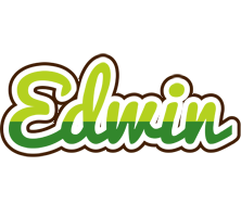 Edwin golfing logo