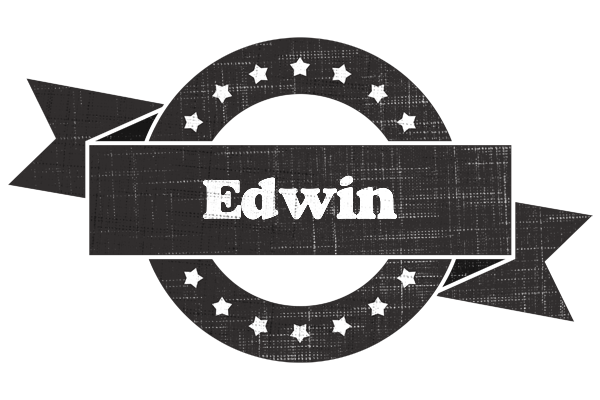 Edwin grunge logo