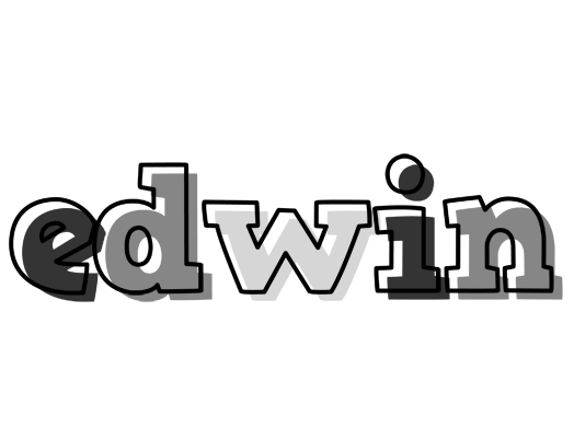 Edwin night logo