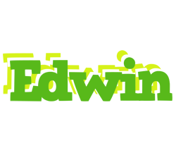 Edwin picnic logo