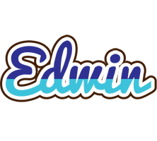 Edwin raining logo