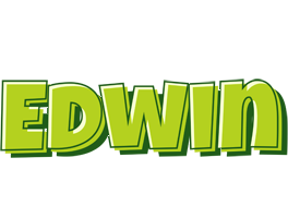 Edwin summer logo