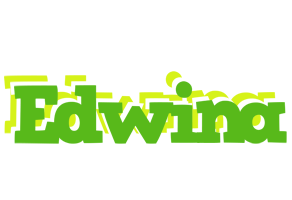 Edwina picnic logo