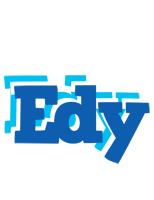 Edy business logo