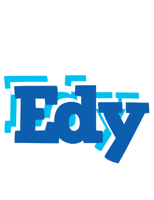 Edy business logo