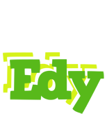 Edy picnic logo