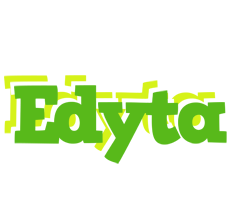 Edyta picnic logo