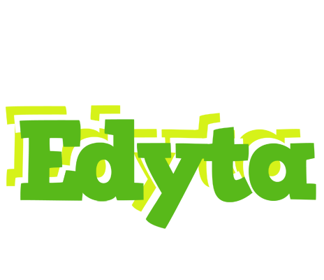 Edyta picnic logo