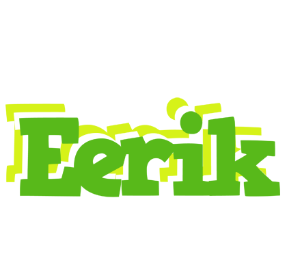 Eerik picnic logo