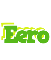 Eero picnic logo