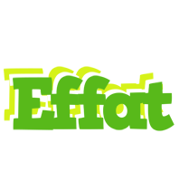 Effat picnic logo