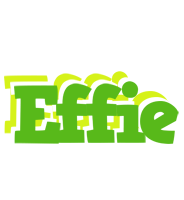 Effie picnic logo