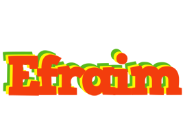 Efraim bbq logo