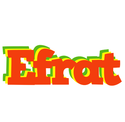 Efrat bbq logo