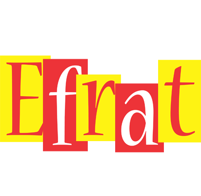Efrat errors logo