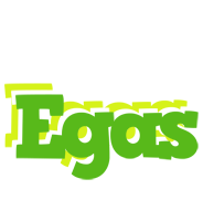 Egas picnic logo