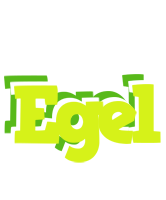 Egel citrus logo