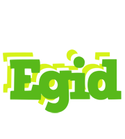 Egid picnic logo