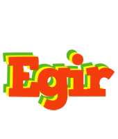 Egir bbq logo