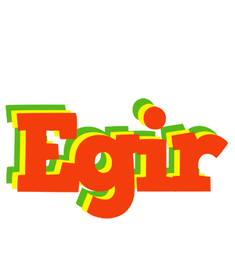 Egir bbq logo