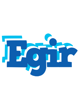 Egir business logo