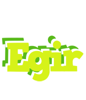 Egir citrus logo