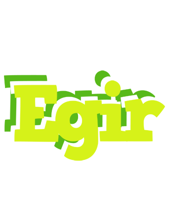 Egir citrus logo