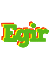 Egir crocodile logo