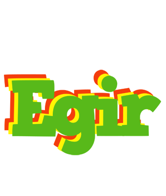 Egir crocodile logo