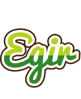 Egir golfing logo