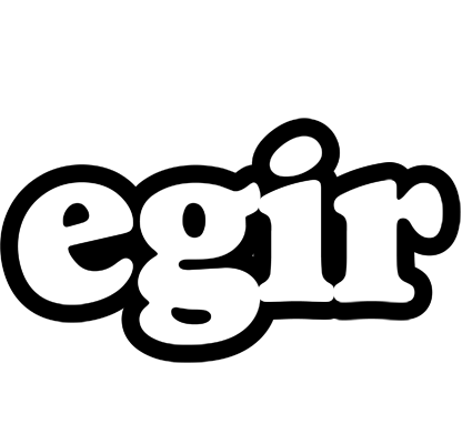 Egir panda logo
