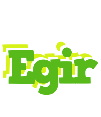 Egir picnic logo