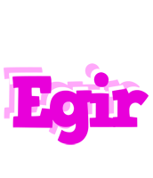 Egir rumba logo