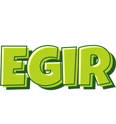 Egir summer logo