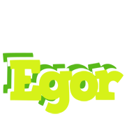 Egor citrus logo