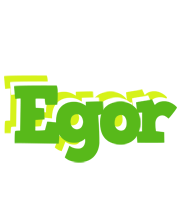 Egor picnic logo