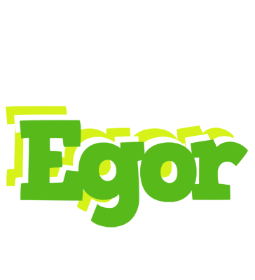 Egor picnic logo