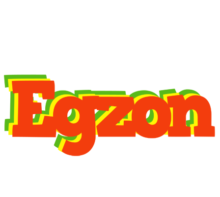 Egzon bbq logo