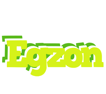 Egzon citrus logo